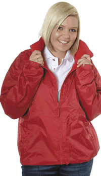 Reversible Mistral